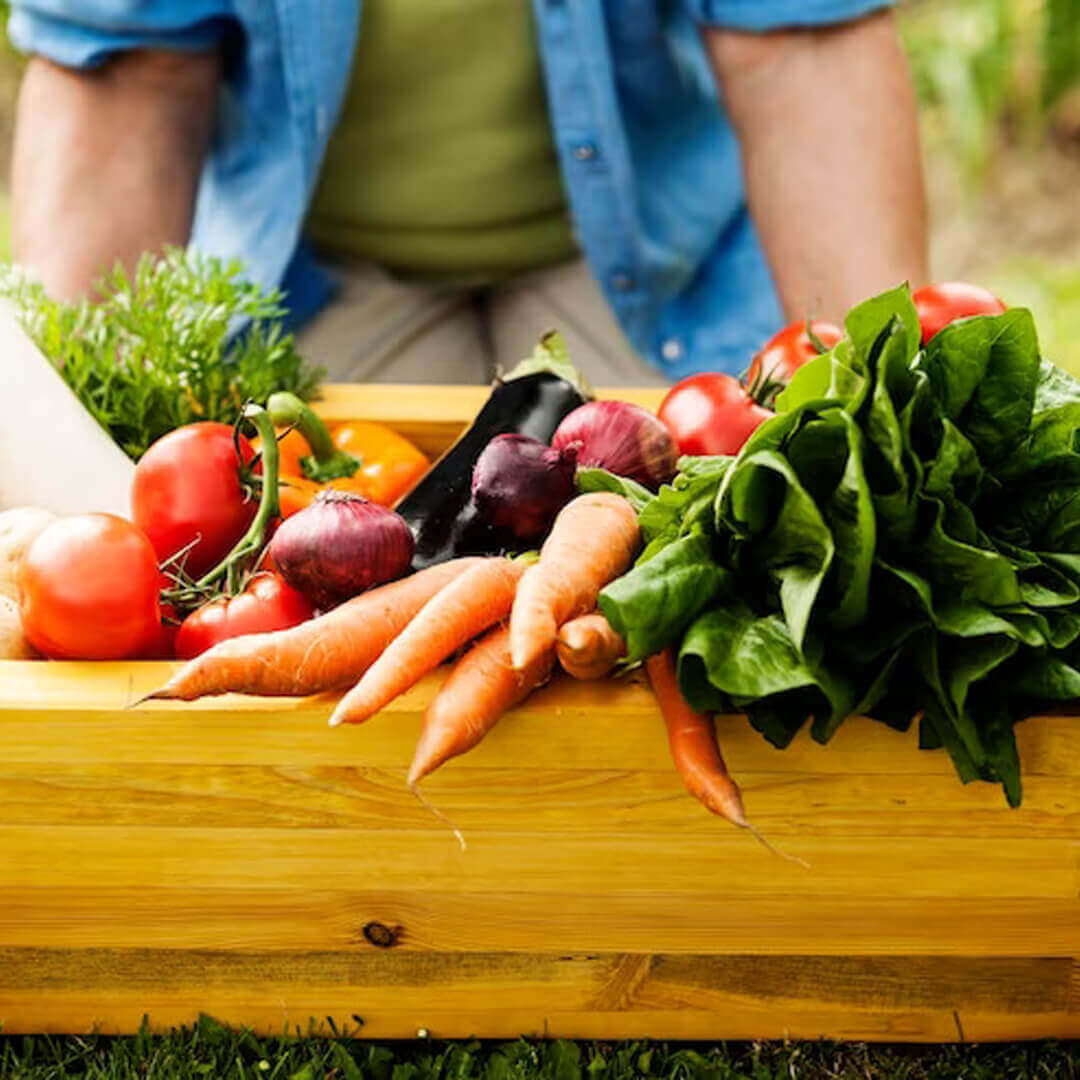 Agro & Processed Food Products